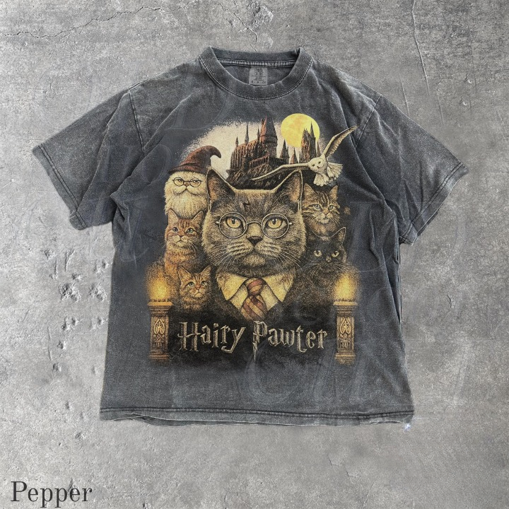 Hairy Pawter Vintage 90s Graphic Shirt, Retro Funny Cat Comfort Colors® Shirt, Cat Wizard Fantasy Shirt, Wizarding School Tee, Reader Gift
