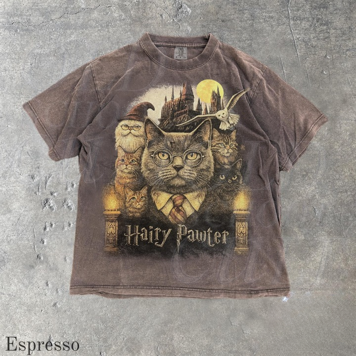 Hairy Pawter Vintage 90s Graphic Shirt, Retro Funny Cat Comfort Colors® Shirt, Cat Wizard Fantasy Shirt, Wizarding School Tee, Reader Gift