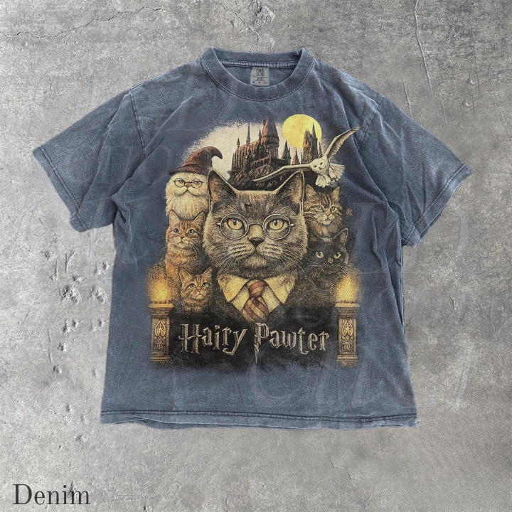 Hairy Pawter Vintage 90s Graphic Shirt, Retro Funny Cat Comfort Colors® Shirt, Cat Wizard Fantasy Shirt, Wizarding School Tee, Reader Gift