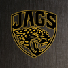 AFC Jacksonville Jaguars Logo RGB Led Lights Metal Wall Art
