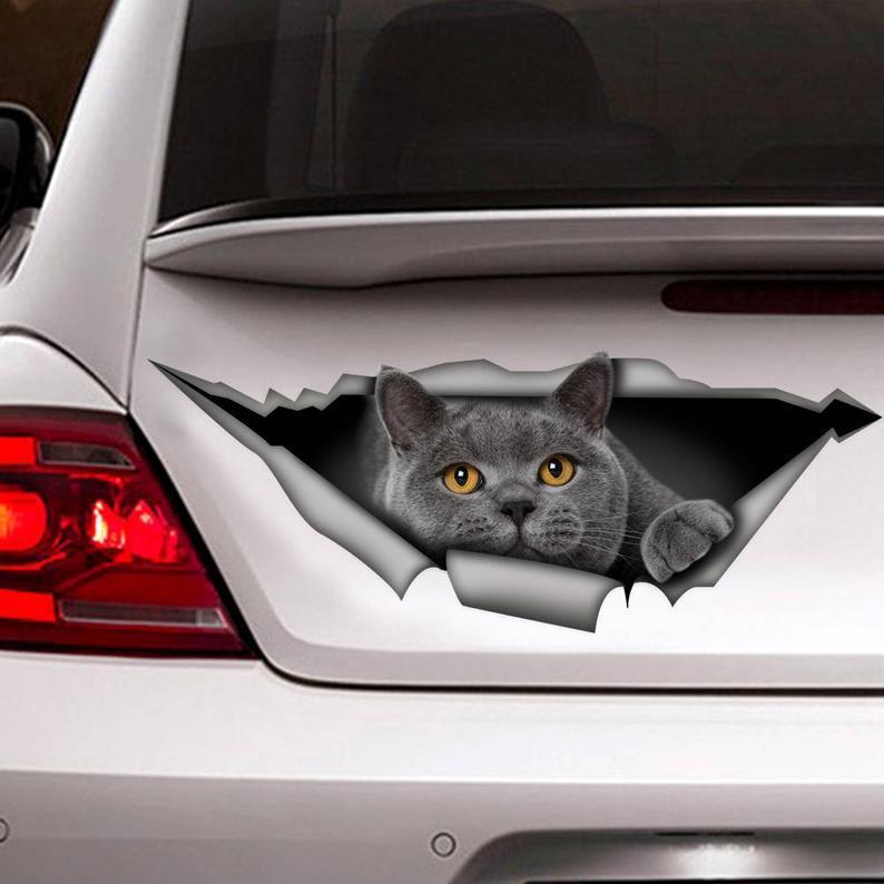 Gray Cat Car Decal Sticker | Waterproof | Vinyl Sticker | 15.75x19.69 inch | Colorful 