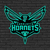 NBA Charlotte Hornets Logo RGB Led Lights Metal Wall Art