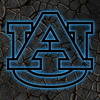 NCAA Baseball Auburn Tigers Logo RGB Led Lights Metal Wall Art