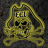 NCAA Baseball East Carolina Pirates Logo RGB Led Lights Metal Wall Art
