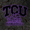 NCAA Baseball TCU Horned Frogs Logo RGB Led Lights Metal Wall Art