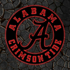 NCAA Football Alabama Crimson Tide Logo RGB Led Lights Metal Wall Art