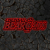 NCAA Football Cincinnati Bearcats Logo RGB Led Lights Metal Wall Art