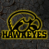 NCAA Football Iowa Hawkeyes Logo RGB Led Lights Metal Wall Art