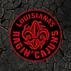 NCAA Football Louisiana Ragin&#39; Cajuns Logo RGB Led Lights Metal Wall Art