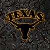 NCAA Football Texas Longhorns Logo RGB Led Lights Metal Wall Art