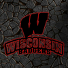 NCAA Football Wisconsin Badgers Logo RGB Led Lights Metal Wall Art