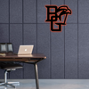 NCAA Hockey Bowling Green Falcons Logo RGB Led Lights Metal Wall Art