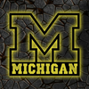 NCAA Hockey Michigan Wolverines Logo RGB Led Lights Metal Wall Art