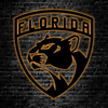 NHL Florida Panthers Logo RGB Led Lights Metal Wall Art