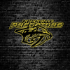 NHL Nashville Predators Logo RGB Led Lights Metal Wall Art