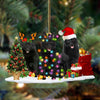 Schipperke-Christmas Dog Friends Hanging Ornament