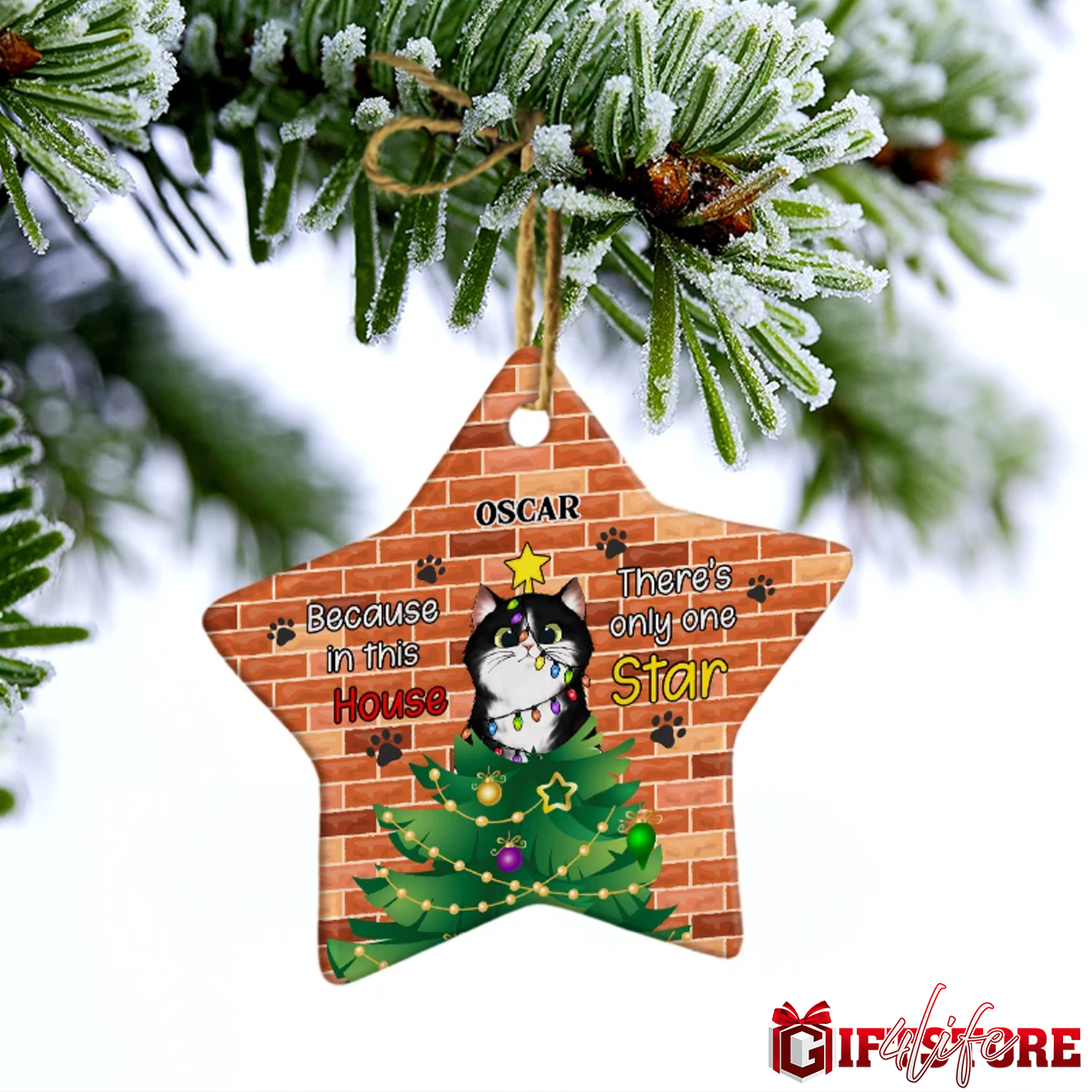 PresentsPrints, There's Only One Star - Christmas Gift For Cat Lovers - Personalized Star Acrylic Ornament