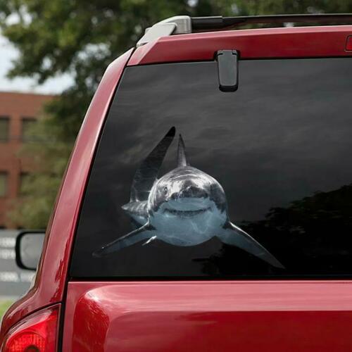 Shark Car Decal Sticker | Waterproof | Vinyl Sticker