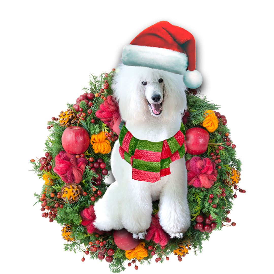 White Poodle Car Ornament