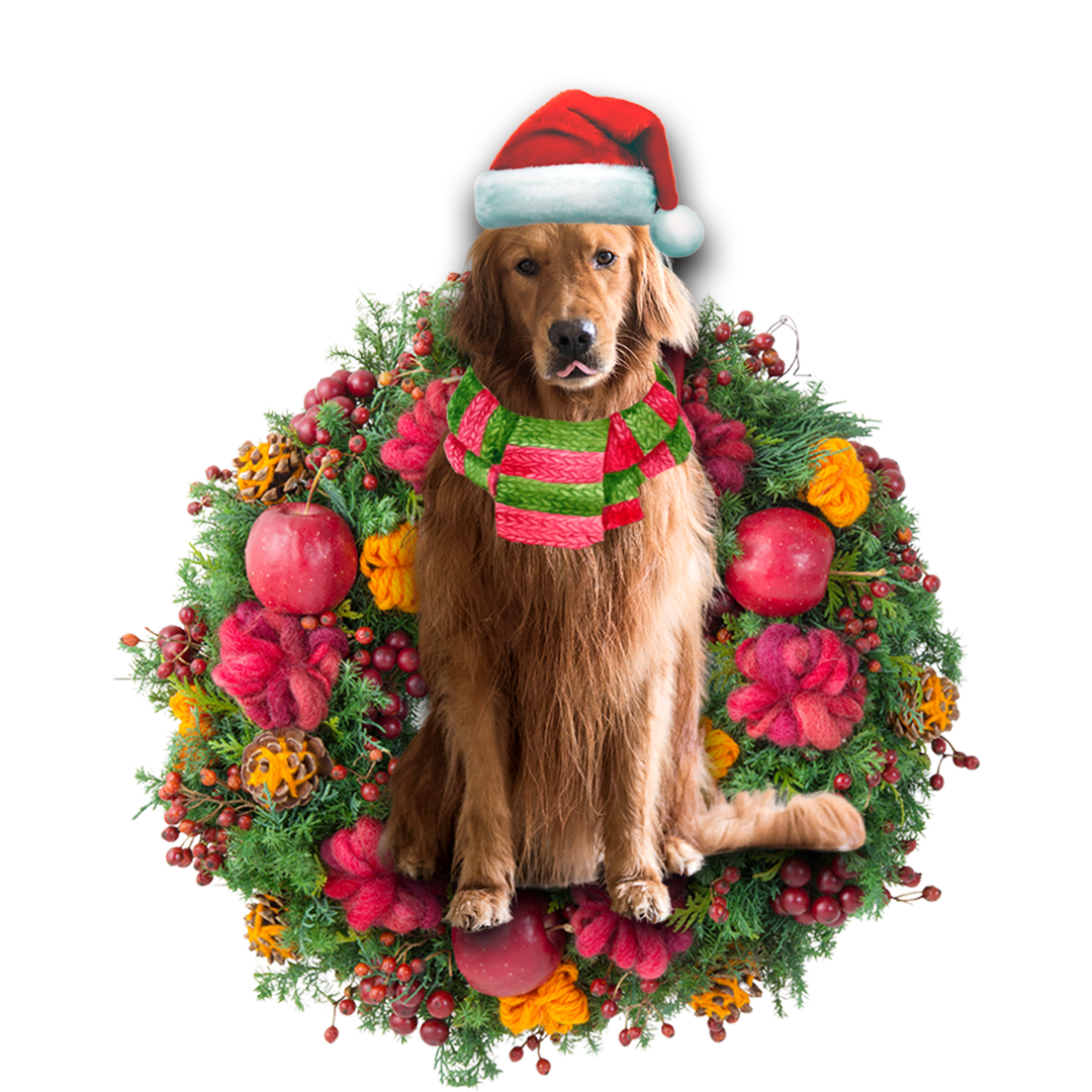 Golden Retriever Car Ornament