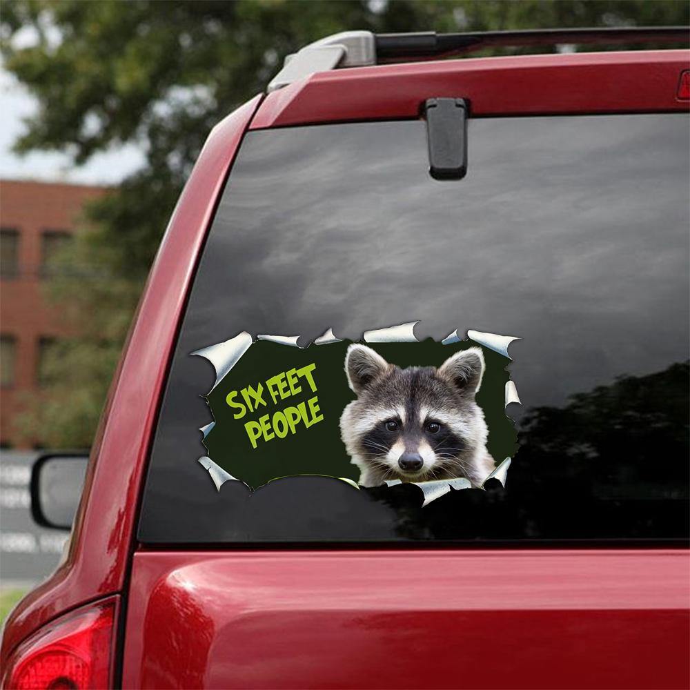Funny Raccoon Six Feet People Sticker Box Cool Dot Stickers Gift Ideas For Boyfriend