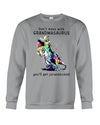 PresentsPrints, Don&#39;t mess with Grandmasaurus You will get jurasskicked, Mother&#39;s Day Gift Hoodie